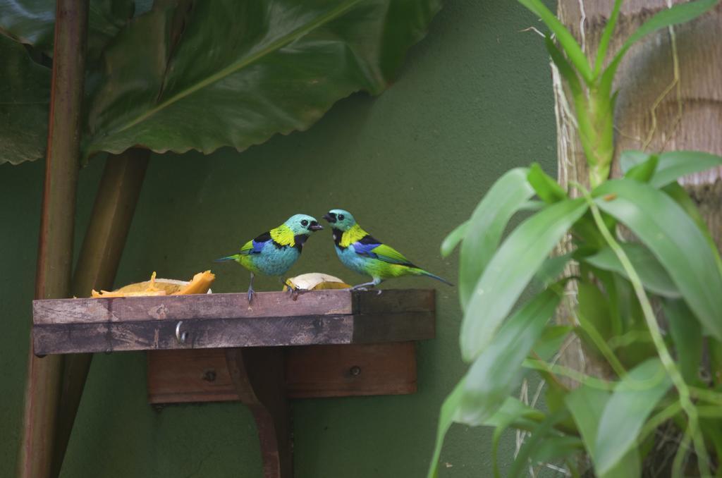 Pousada Refugio Tropical Paraty Luaran gambar
